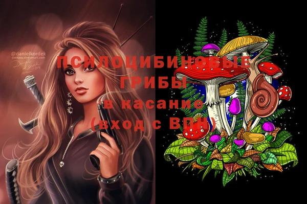 прущая мука Абаза