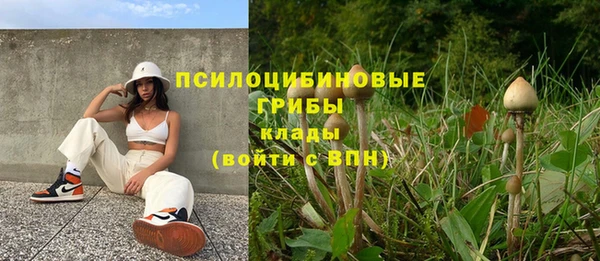 кокс Алексеевка