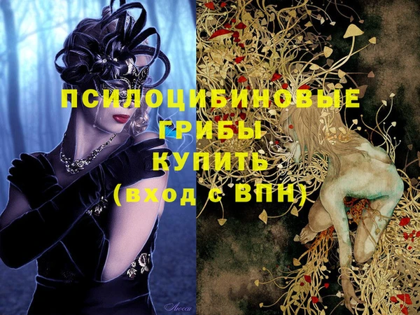 кокс Алексеевка